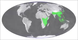 Description de l'image Alangium chinense distribution.png.
