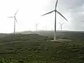 Éoliennes, Albany