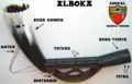 Schéma d'un alboka en langue basque (modèle Gipuzkoa) .