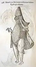 Illustration de Ulyssis Aldrovandi, Monstrorum historia, 1537-1605