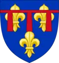 Armoiries comme fils de France (1559-1573).