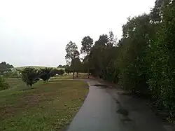 Sydney Park.