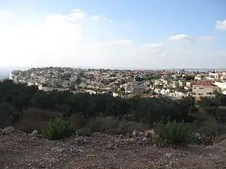 Alfei Menashe