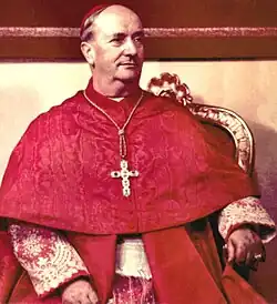 Image illustrative de l’article Alfredo Ottaviani