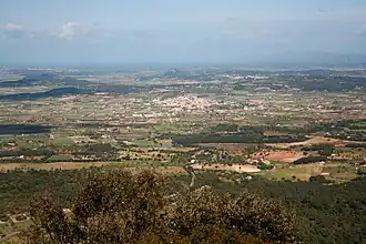 Algaida