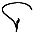 Signature de Ali Ahmadzadeh