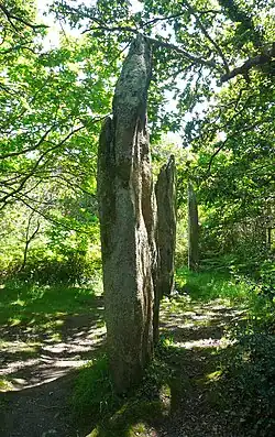 Alignement de Kerfland.