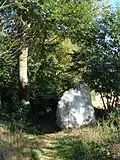 Partie de l'alignement de Lampouy.