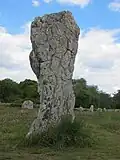 Le Géant du Ménec.