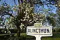 Alincthun et son cerisier.