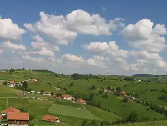 Aljinovići