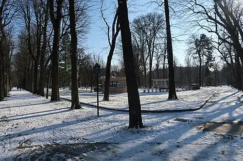 Sous la neige.