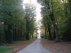 Allée du parc.