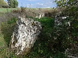 Image illustrative de l’article Allée couverte de Copierres