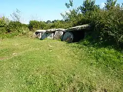 L'allée couverte de Kergüntuil.