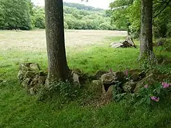 Vue d'ensemble.