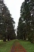 Allée des Lions - Ferrières-en-brie