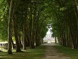 Une allée bordée d'arbres majestueux prolonge la perspective du château