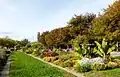 Allée fleurie