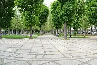 Une allée du parc