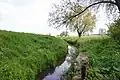 L'Aller près de Wefensleben, environ à 10&nbsp;km de la source.