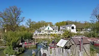 Alligator baie