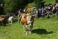 Exemple de maîtresse-vache avec sa grande clarine et sa coiffe florale, ici à Bad Kleinkirchheim, Autriche.
