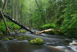 Rivière Altja jõgi.