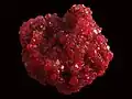 Alunite