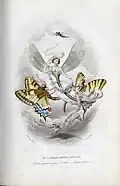 « Elle se balançait mollement dans les airs. »
