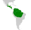 Ara macao