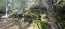 Photographie d'un amas de rochers datant de la Préhistoire au lieu-dit de Leschaux (Orelle), ils sont moussus et gros, au milieu de la forêt.