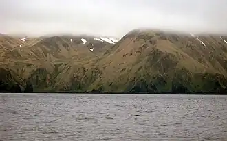 Côte de l'île Amatignak