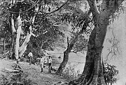 1897