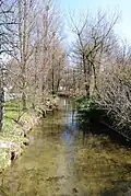 L'Amblève dans le village d'Amblève (Amel)