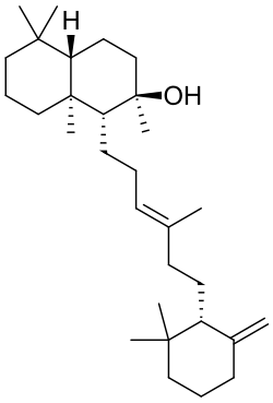 Ambréine&nbsp;(en).