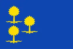 Drapeau de Ambt Delden