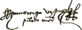 signature d'Amerigo Vespucci