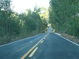 Cajuri