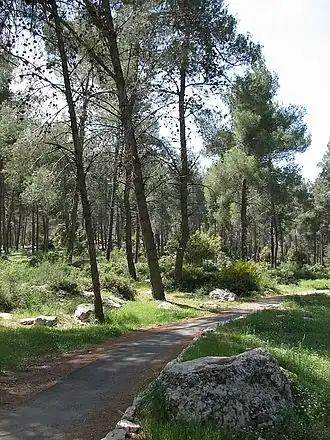 Aminadav