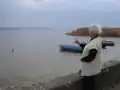 La côte orientale de l'’Ammersee