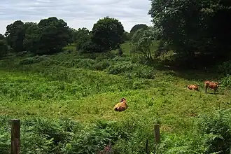 La vallée de l'Ouysse à l'est du village.