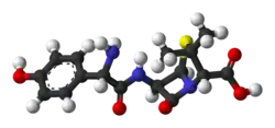 Image illustrative de l’article Amoxicilline