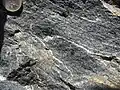 Gneiss amphibolitique. Début de rubanement gneissique causé par les lits de feldspath blanc.
