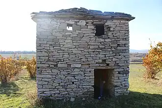 Pagaruša