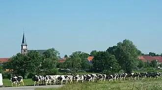Ancerviller