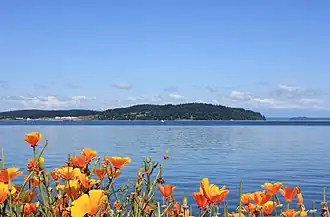 Une vue, depuis Steilacoom, sur l'île Anderson et le Puget Sound.