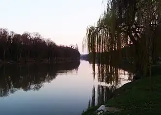 L'île Nancy