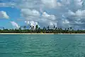 Andros, aux Bahamas