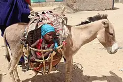 Âne transportant un enfant sur une route de Bol.
